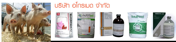 อโกรเมด