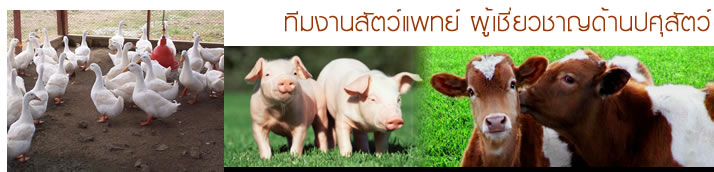 ขายยาสัตว์