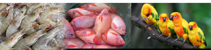 ยาผสมอาหาร